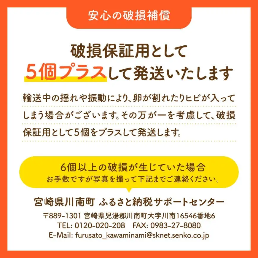 宮崎県産鶏卵　「南国からの贈り物」大きな卵40個入り（35個+破損補償5個）【たまご 卵 玉子 タマゴ】