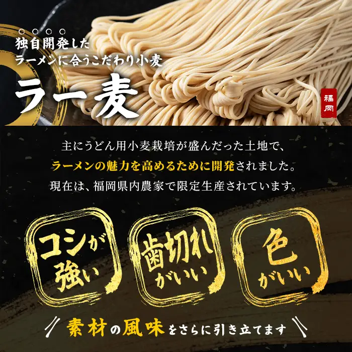 ラー麦麺 塩ラーメン (15食) 麺 麺類 しお しおラーメン ラー麦 スープ 細麺 ストレート麺 生麺 簡単調理 福岡県 【FUKUOKA MIOTSUKUSHI】as55-016