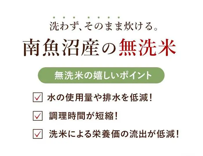 【令和7年産】南魚沼産コシヒカリ（無洗米）【5kg×2】【銘柄米 ブランド米 無洗米 こしひかり コシヒカリ 魚沼産 新潟米 産地直送 お米 米 こめ コメ ご飯 御飯 ごはん】
