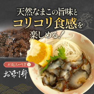 北海道浦河産『活なまこ』1kg※不在日・日付指定対応不可※[06-1591]