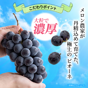 訳あり ピオーネ 1房 450g 以上 ぶどう 数量限定 種なし ぶどう