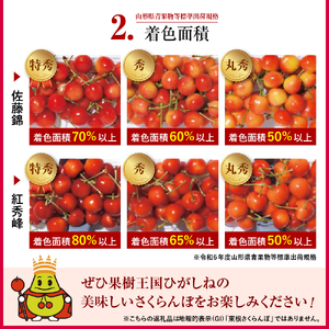 【2026年産】ご家庭用 さくらんぼ 佐藤錦 秀品 M玉以上 約720g 山形県 東根市 千笑花夢提供 hi082-067-r8 