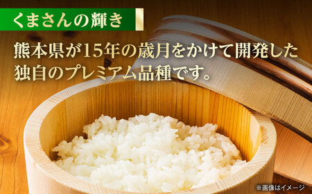 【先行予約】【3回定期便】くまさんの輝き 白米  10kg 山鹿市産【奥村果実園】[ZFK021]