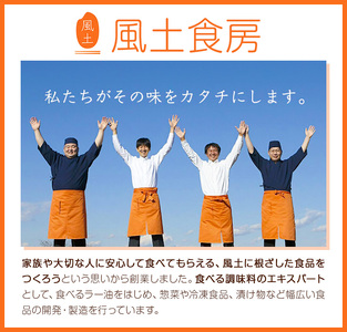 白樺派のひとさじキーマカレー 105g × 5本 株式会社風土食房《30日以内に出荷予定(土日祝除く)》千葉県 我孫子市 調味料選手権 味噌 豚肉 ごはん パン 麺 カレー スパイシー