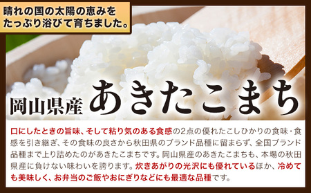 あきたこまち 10kg 米 あきたこまち