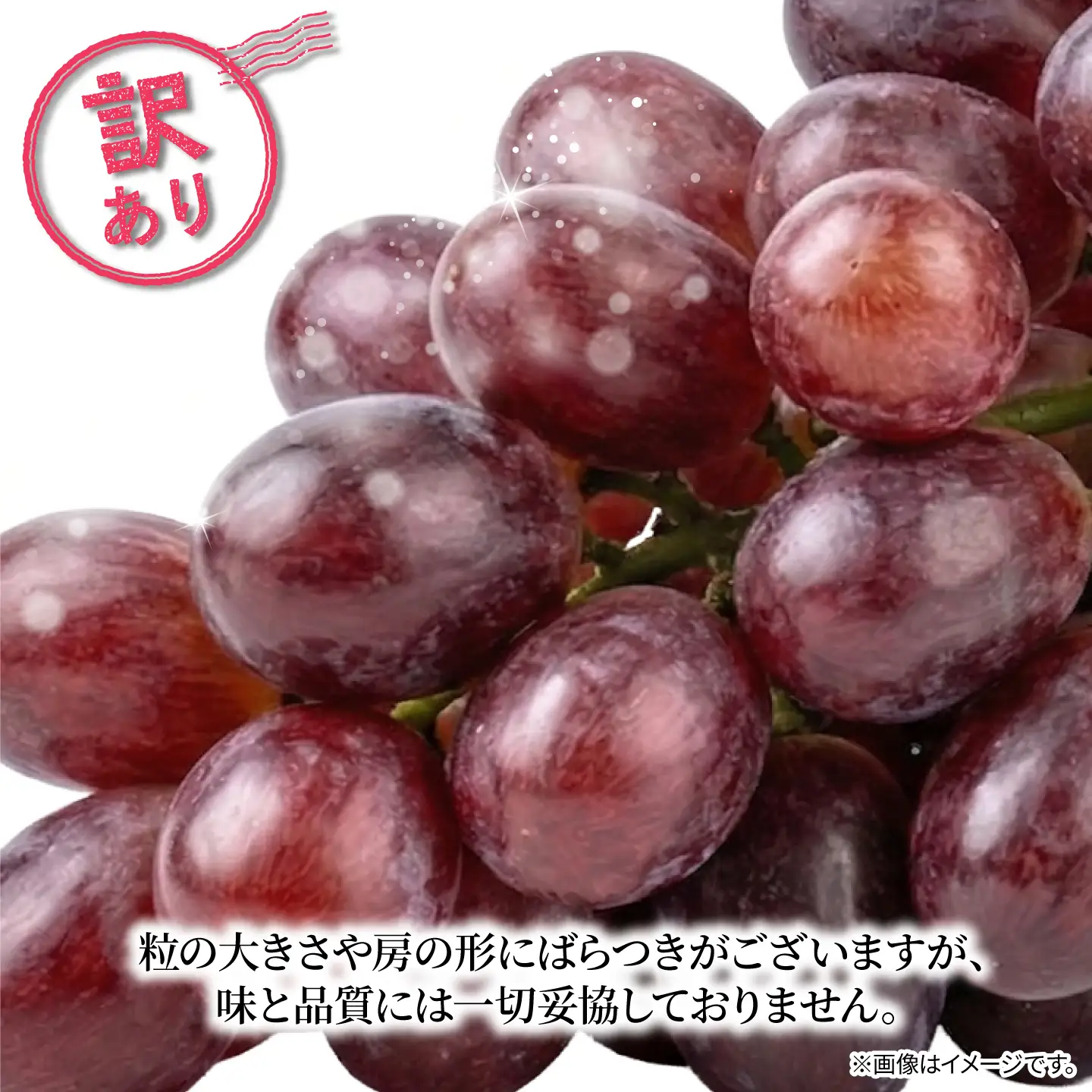 訳あり マスカットノワール  2房 900g 以上 数量限定 種なし