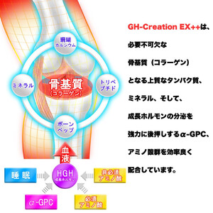 2本セット：GH-Creation EX++ ジーエイチ クリエーション EX プラス 300mg 270粒