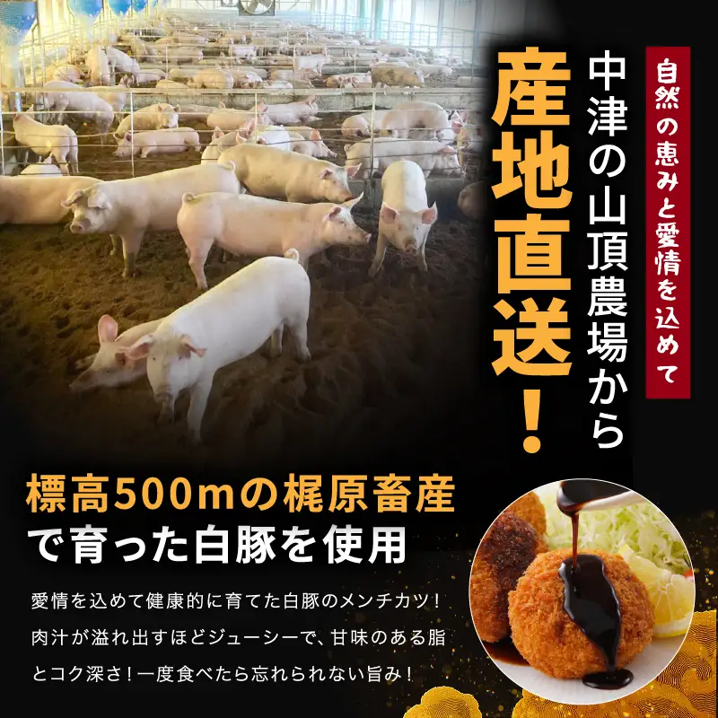 冷凍 メンチカツ 生8個入り ( 2パック ) | お肉 肉 豚肉 白豚 お惣菜 惣菜 おかず 国産 九州産 大分県産 大分県 中津市