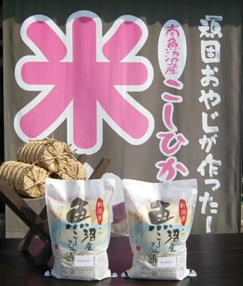 【令和7年産】特別栽培米　がんこおやじが作った南魚沼産コシヒカリ 白米１０kg（５kg×２袋）【銘柄米 ブランド米 精米 こしひかり コシヒカリ 魚沼産 新潟米 産地直送 お米 米 こめ コメ ご飯 御飯 ごはん】