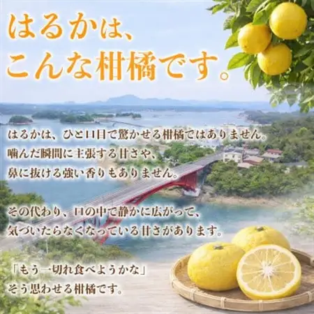 はるか みかん 訳あり 約4kg(益城町)【1723661】