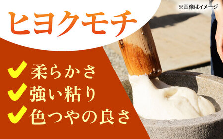 令和7年産 ヒヨクモチ 精米 10kg（5kg×2袋） 【大塚米穀店】 もち米 餅 佐賀県 江北町産[HBL116]