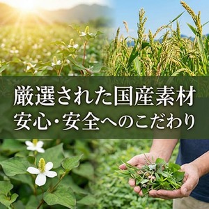 【 定期便3回 】 阿波晩茶 30パック 3セット 健康 お茶 番茶 オートファジー  【 阿波晩茶 】