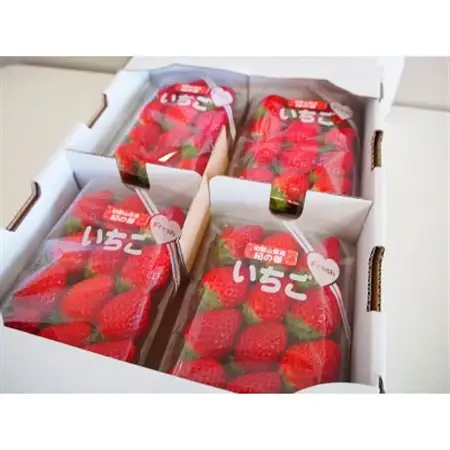 紀州和歌山ブランドいちご「紀の香」約250g×4P【配送不可地域：離島・北海道・沖縄県】【1722513】