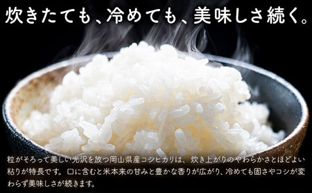 岡山県産 こしひかり 10kg(5kg×2袋)  精米 全農パールライス株式会社《30日以内に出荷予定(土日祝除く)》 岡山県 浅口市 送料無料 こめ 精米 コシヒカリ
