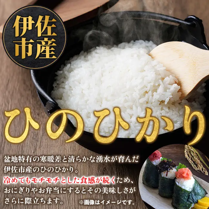 isa852 令和7年度産 鹿児島県伊佐市産米ひのひかり(通常精米/5kg×1袋) 鹿児島県 伊佐市 ひのひかり 通常精米 国産米 米 精米 伊佐米 【タイヨー】