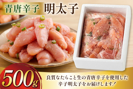 明太子 楢崎商店 青唐辛子明太子 500g [地域商社ふるさぽ 福岡県 筑紫野市 21761450]
