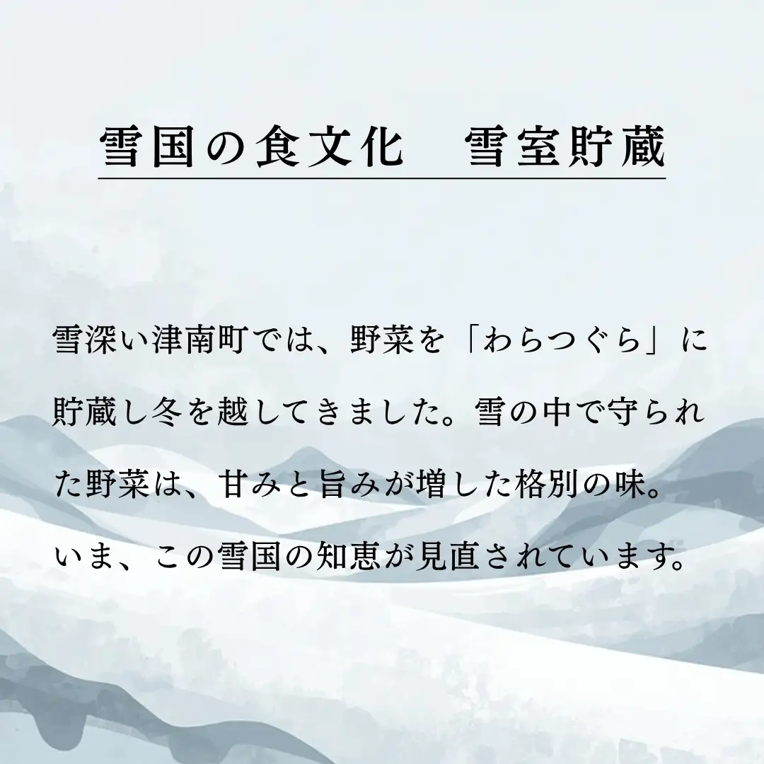 白とうもろこし 雪の妖精 2L?L 10本入 雪室予冷 | 津南町 スイートコーン