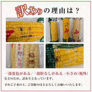北海道士別市産！訳あり！朝採りレトルトスイートコーン(20本) 北海道産 北海道 士別市 とうもろこし トウモロコシ とうきび レトルト 【三栄アグリ】【B7150】