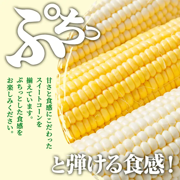 ＜期間限定＞天塩川源流スイートコーン 品種いろいろ詰め合わせ (6本) 【2026年8月下旬より順次発送】 北海道産 北海道 士別市 とうもろこし トウモロコシ とうきび コーン 野菜 産地直送 【三栄アグリ】【A7136】