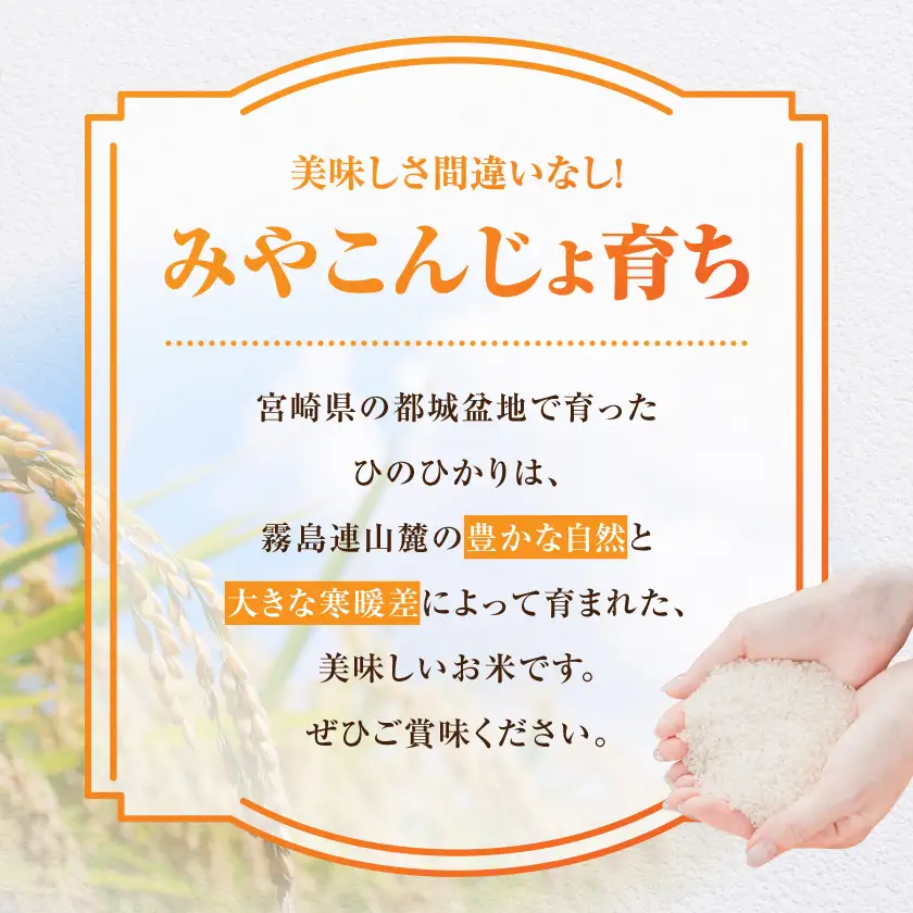 都城産ひのひかり10kg(5kg×2袋)〔21-N5-002-10kg〕_(都城市) 都城産 お米 10kg 5kg2袋 ひのひかりお弁当 おにぎり