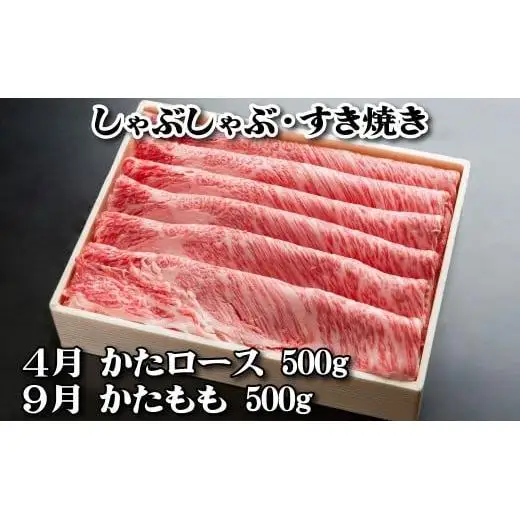 神戸牛 定期便「梅」コース 全６回 TK梅 [1219]