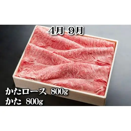神戸牛 定期便「松」コース 全６回 TK松 [1217]