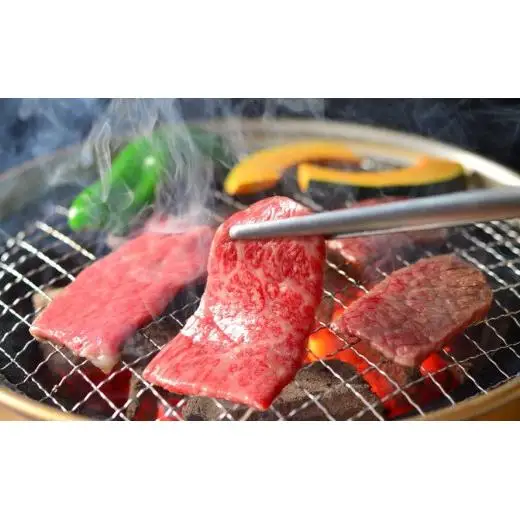 神戸牛 焼肉 500g TKY2  [1208]