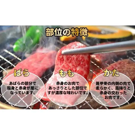 【訳あり】神戸牛 切り落とし肉・焼肉用（不揃い） 800g TKSY2 [1206]