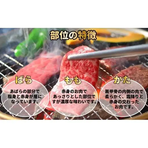 【訳あり】神戸牛 焼肉用（不揃い） 400g TKY1 [1203]