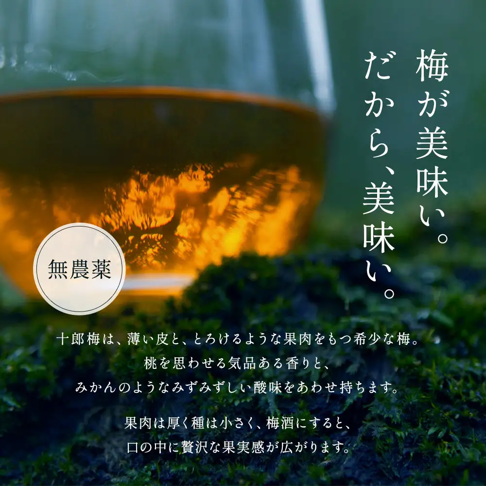 【小田原・曽我の最高傑作「十郎梅」使用梅酒】THE HEALING LIQUEUR SOGA