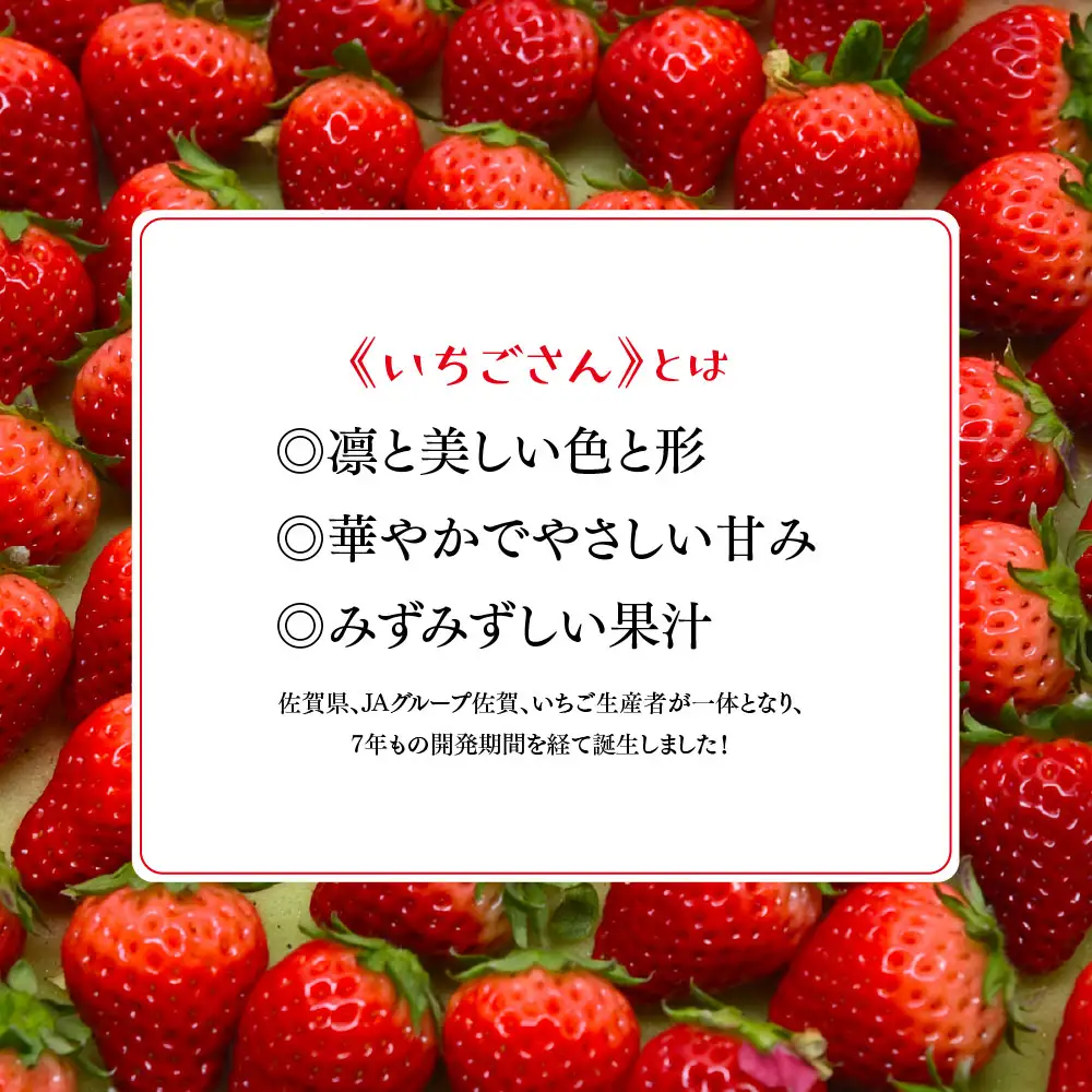 冷凍いちご 1kg(いちごさん)(H126101)