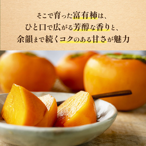 富有柿〈家庭用〉 約4kg（S～Lサイズ混載）  |  先行予約 大人気 人気 富有 柿 かき フルーツ 果物 辰巳果樹園 ギフト おすすめ 10月 11月 発送 カキ 秋の味覚 旬 甘い 大容量 農家直送 産地直送 グルメ お取り寄せ 送料無料  食物繊維 豊富 美容 健康 | 奈良県 五條市