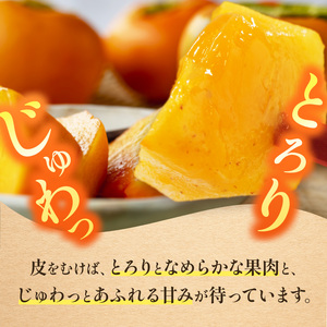 たねなし柿〈家庭用〉 約7.5kg（S～Lサイズ混載） |  先行予約 大人気 人気 たねなし 柿 かき フルーツ 果物 辰巳果樹園 ギフト おすすめ カキ 秋の味覚 旬 甘い 大容量 農家直送 産地直送 グルメ お取り寄せ 送料無料  食物繊維 豊富 美容 健康 | 奈良県 五條市