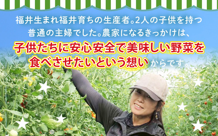 【先行予約】農家直送 砂丘地ハウス栽培 福井県産大玉スイカ 8kgサイズ 1玉【2026年6月中旬以降順次発送予定】 [B-21801]