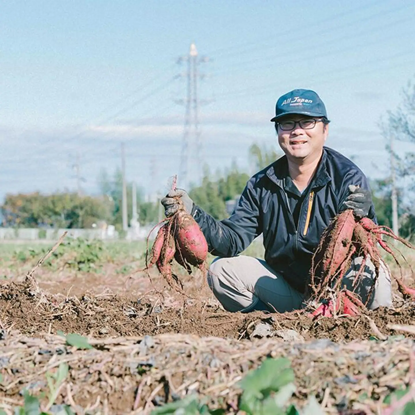 さつまいも 紅はるか 10kg 訳あり さつまいも