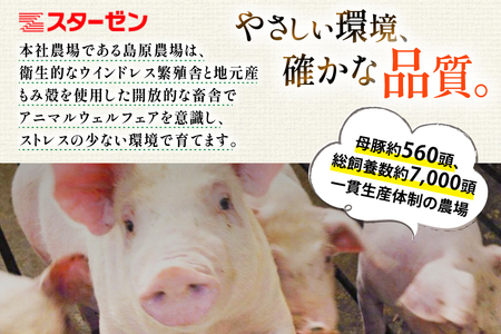AJ666 島原育ちの豚肉セット 計4.5kg 