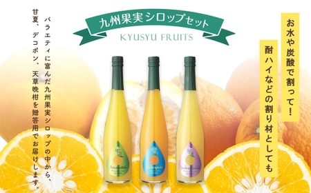 【 贈答用 】 九州果実シロップ 3本セット （ 甘夏 、 デコポン 、 天草晩柑 ） 贈答品 プレゼント ギフト シロップ フルーツシロップセット フルーツシロップ フルーツ くだもの 果物