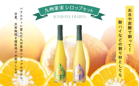 【 贈答用 】 九州果実シロップ 2本セット （ 甘夏 、 天草晩柑 ） 贈答品 プレゼント シロップ フルーツシロップセット フルーツシロップ フルーツ くだもの 果物 ギフト