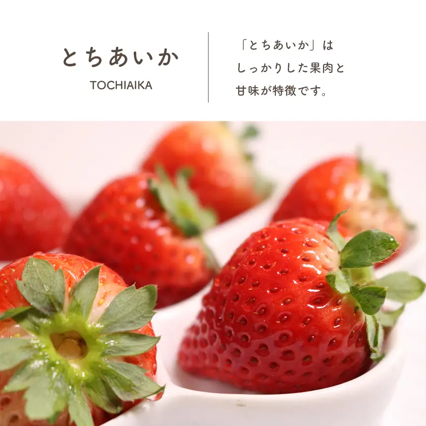 【定期便4回】那珂川町産とちあいか　朝採れ当日発送 270ｇ×4Ｐ