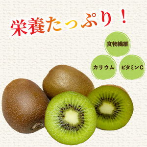 キウイフルーツ ヘイワード 【小玉】 約3kg 【2026年11月上旬頃から順次発送】 |  キウイ グリーンキウイ ヘイワード キウイフルーツ フルーツ 果物 きうい くだもの デザート 産地直送 数量限定 国産 送料無料 愛媛県 松山市【KNN014】