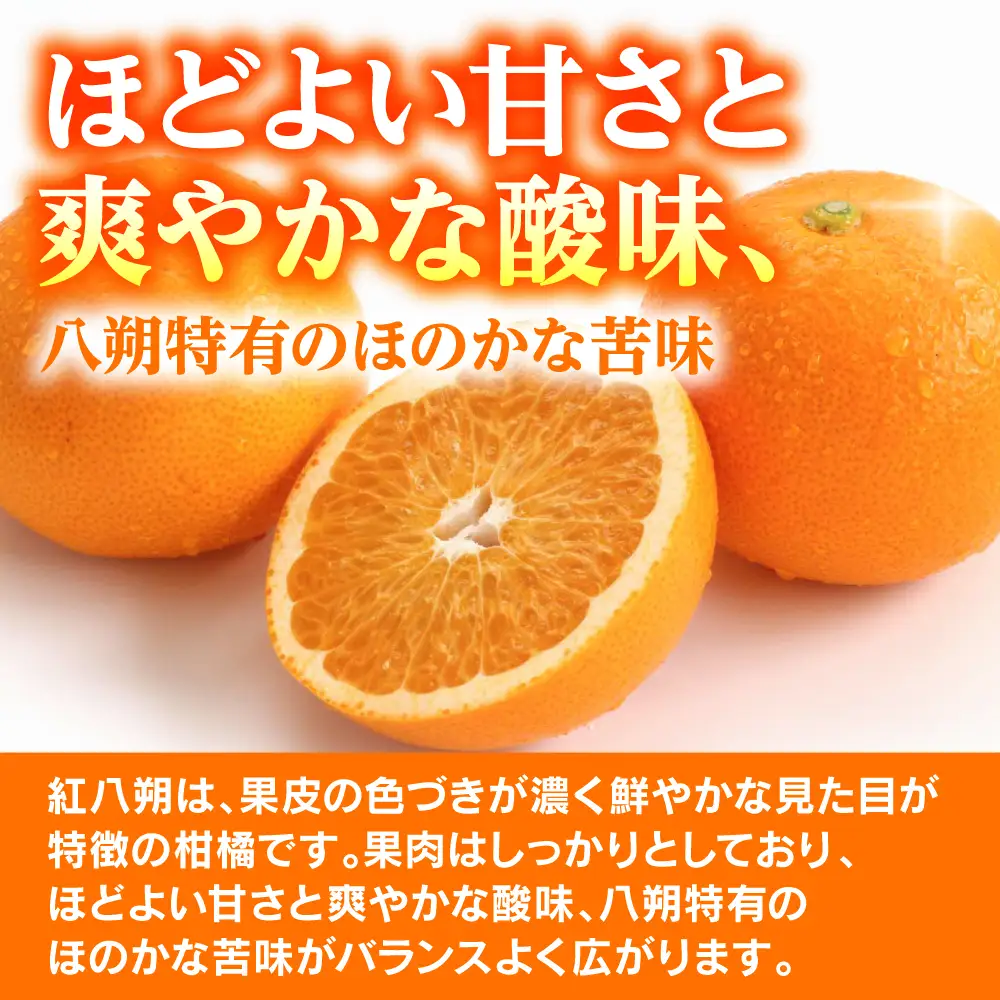 【先行予約】 【訳あり】 紅八朔 約8kg 八朔 はっさく ハッサク 柑橘 果物 くだもの フルーツ 熊本県 八代市 【2027年1月下旬より順次発送】