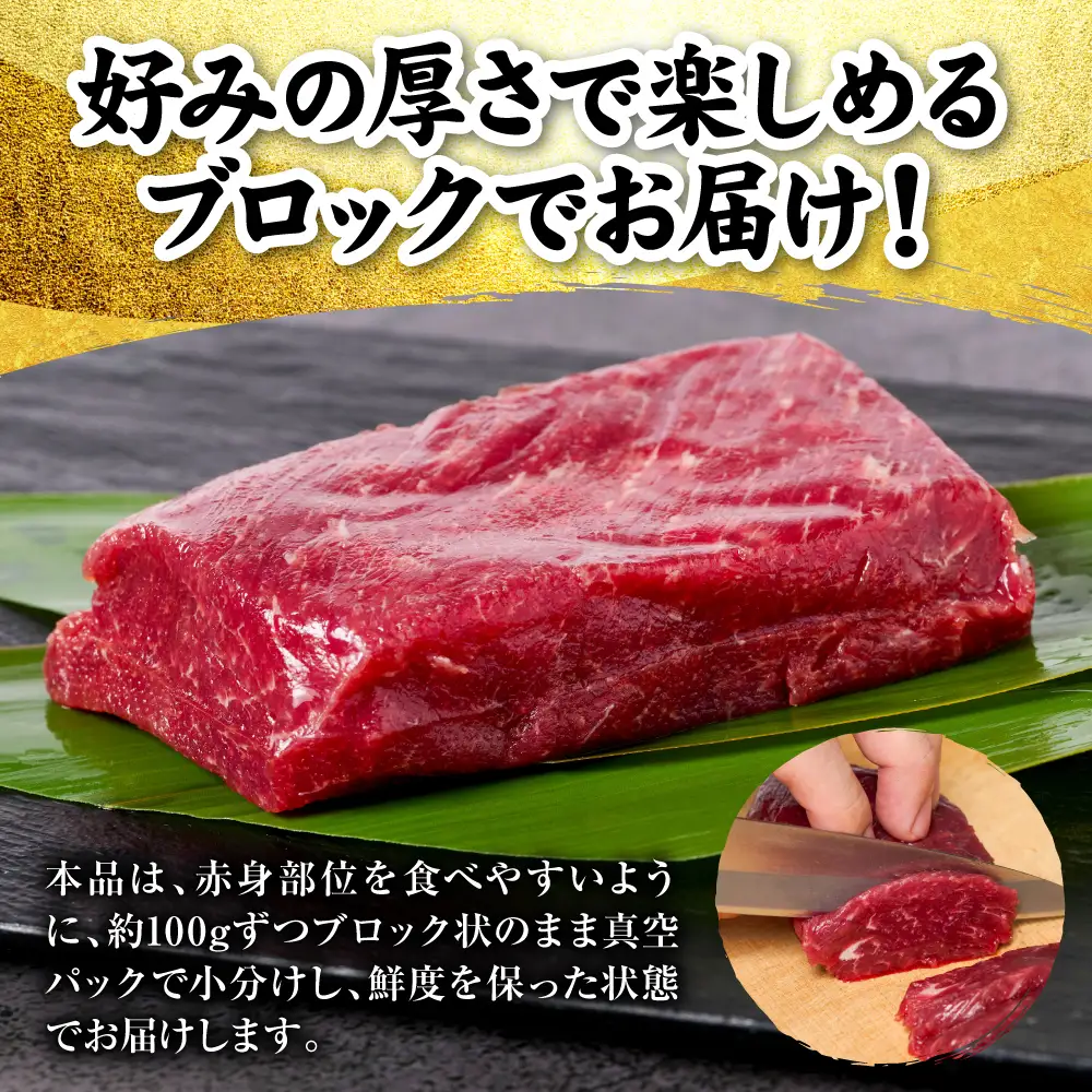 馬刺し 国産 熊本肥育 赤身馬刺し 合計500g （100g×5パック） 馬肉 馬刺し