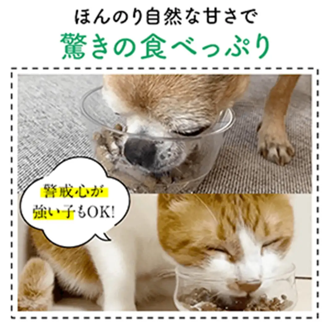 犬猫生活 犬猫兼用デンタルふりかけ 1袋(30包入) 0185-005-S07