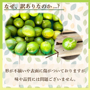 【訳あり 国産 レモン】レモン 5kg わけあり れもん 檸檬 牧之原市 タタラ商店