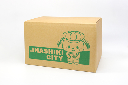 【ふるなびWEEK対象】ネスレ キットカット バラエティアソート 6袋セット (6種×1袋) 合計60枚 チョコレート 菓子 ウエハース [2116f]