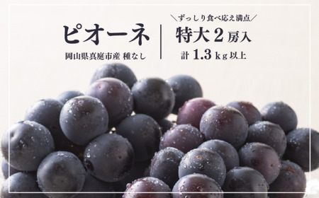 ピオーネ 岡山県産ぶどう 種なしご家庭用特大ピオーネ2房計1.3kg～ 【KF-B064-01】