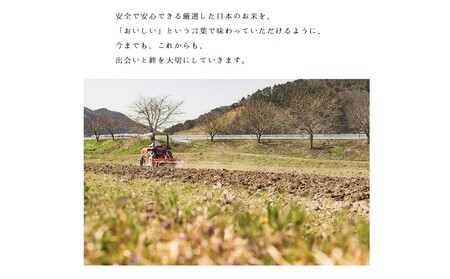 ヒノヒカリ 10kg 直前精米 ひのひかり 