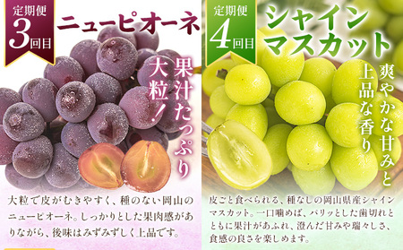 岡山県の贅沢フルーツ定期便 全5回