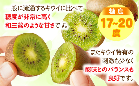 【先行受付】香川県オリジナルキウイフルーツ「さぬきキウイっこ」約3kg【香川県共通返礼品】 | キウイ キウイフルーツ 果物 フルーツ 青果 青果物 さぬきキウイっこ 果実 贈答 贈り物 ギフト 甘い 糖度が高い 季節のフルーツ 旬 おすすめ 香川県 三木町 |_mk006-065
