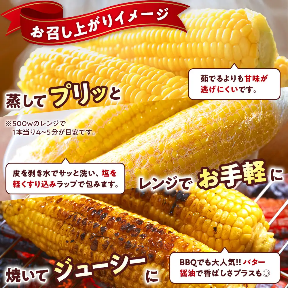 朝採 新鮮 白浜町産 ゴールドラッシュ とうもろこし 2Lサイズ 10～12本 はたごや農園